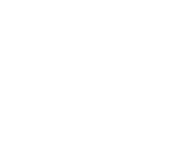 Fundación Emerger Colombia